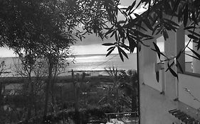 B&B Colle Degli Ulivi